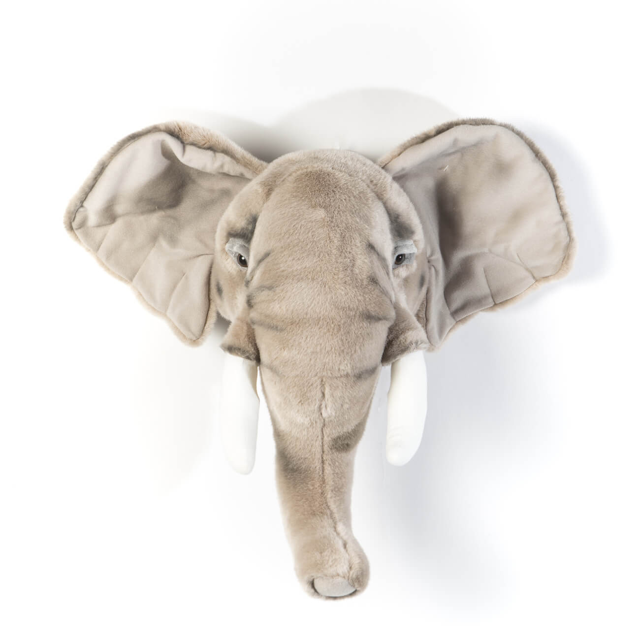 Trofeu Elefant George - Wild&Soft