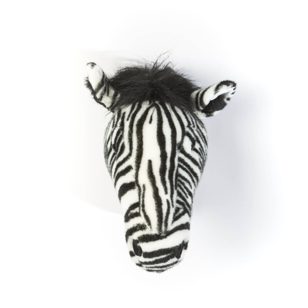 Trofeu Zebra Daniel - Wild&Soft
