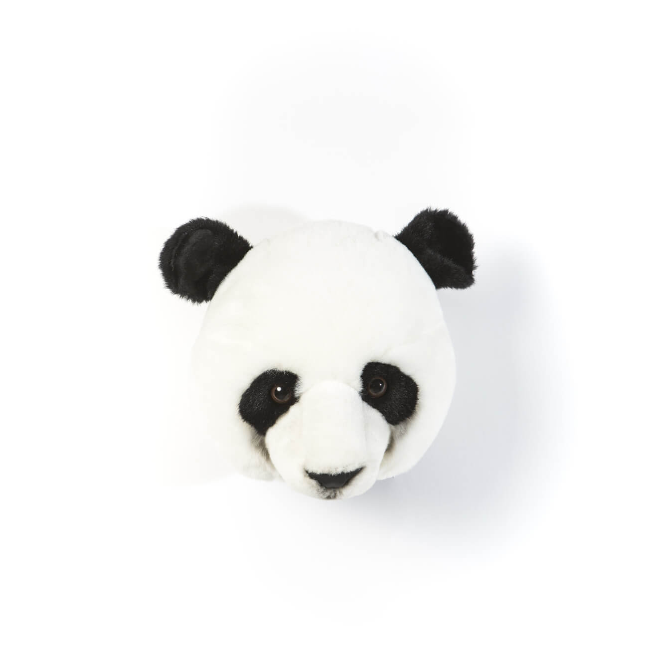 Trofeu Panda Thomas – Wild&Soft
