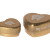Set 2 Tooth Box Maileg - Gold